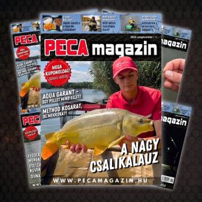 Magazinok